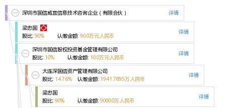 深圳市国信威宜信息技术咨询企业（有限合伙）的技术咨询服务概述