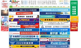 秋招困境 八成应届生面试‘凉凉’，技术咨询行业挑战与应对